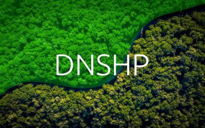 ¿Qué significan las siglas DNSHP?